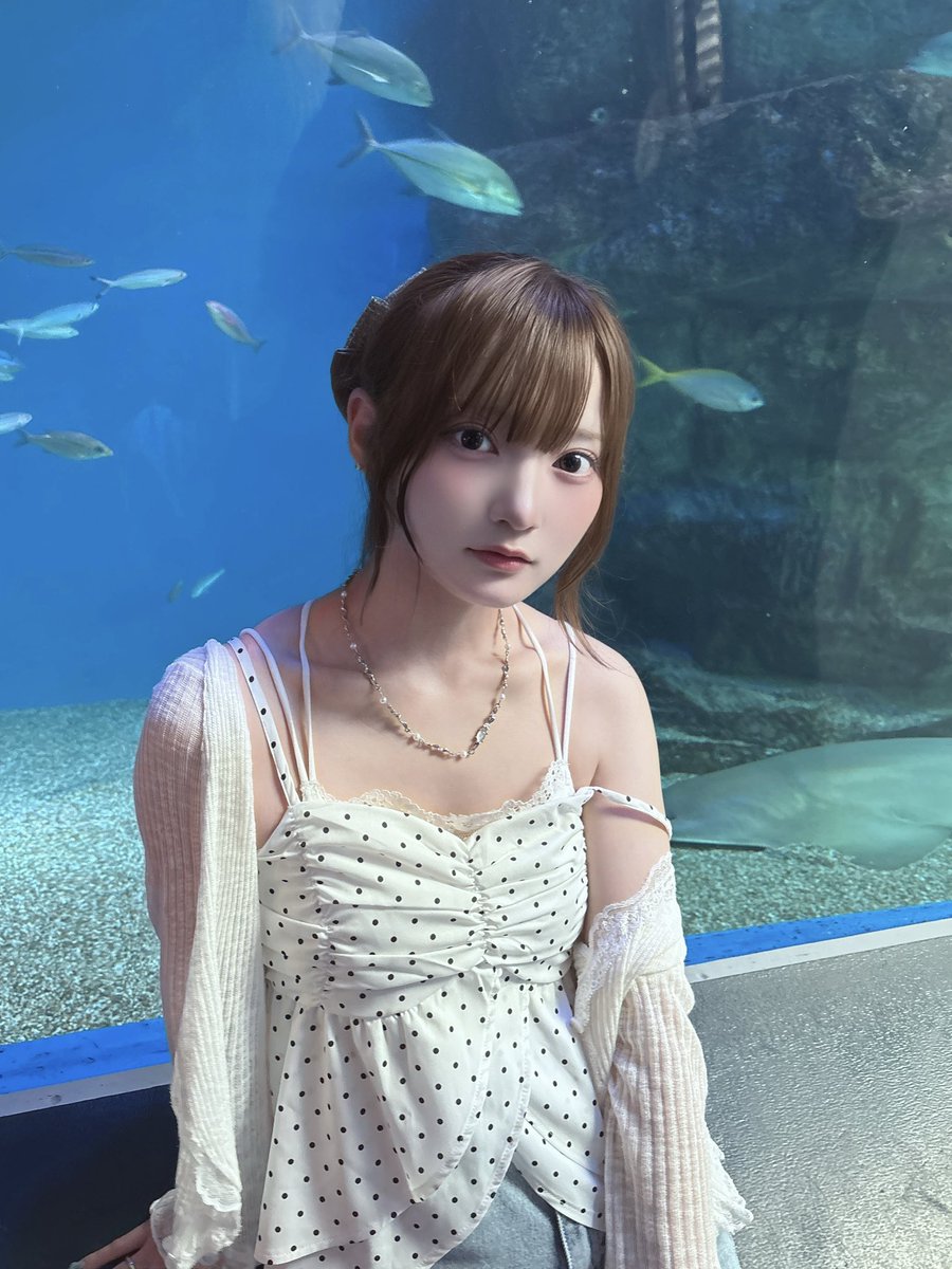 cho_moca_'s tweet photo. 🐚🪸 https://t.co/Ac3nozsBRW
