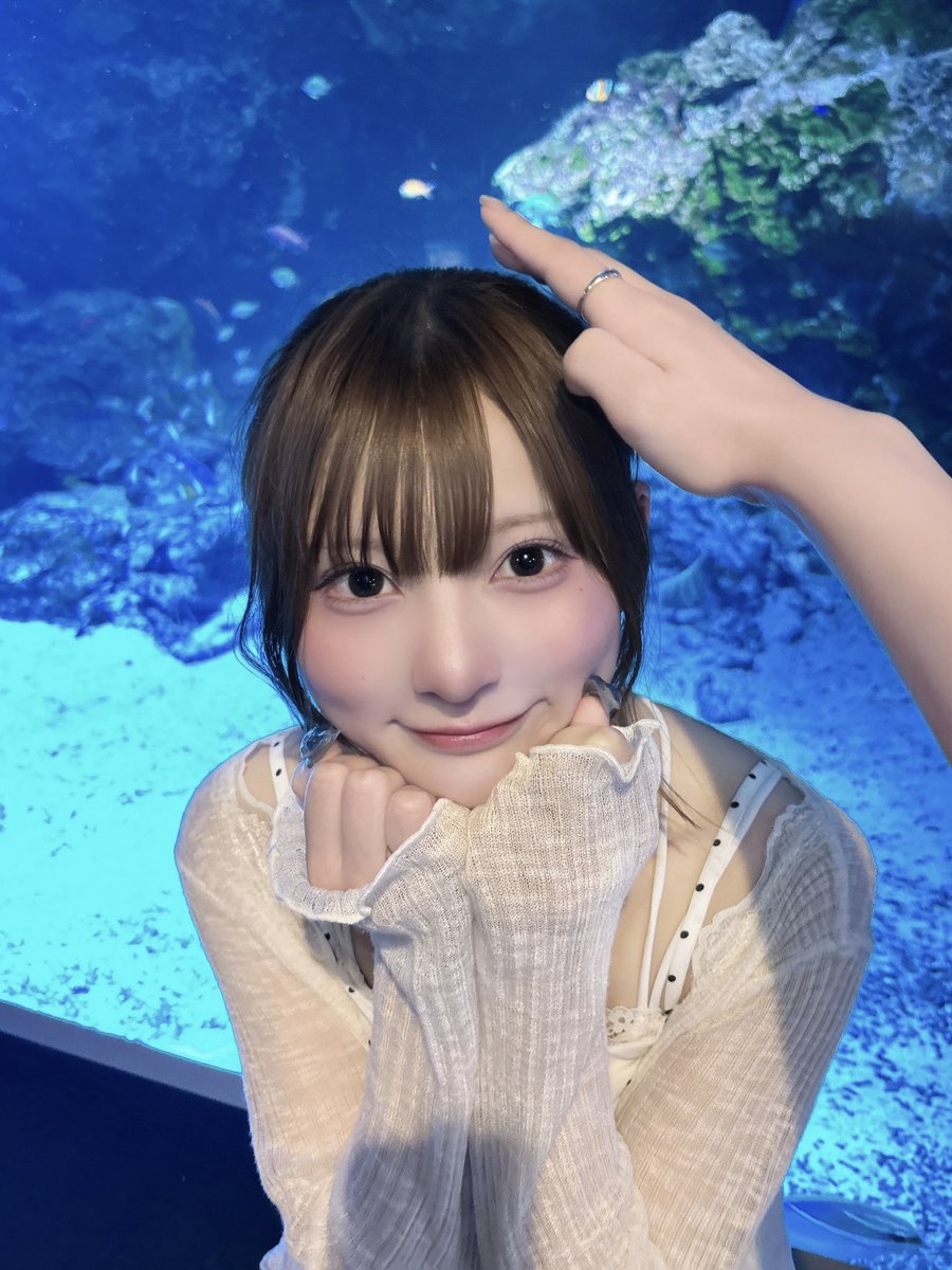 cho_moca_'s tweet photo. 🐚🪸 https://t.co/Ac3nozsBRW
