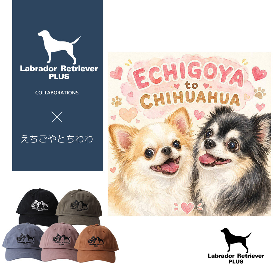 udgcoltd's tweet photo. えちごやとちわわさんとのコラボアイテムが
大好評予約受付中🐕🐾

⚠️今しか手に入らない期間限定アイテム⚠️

詳細・ご購入はコチラ👣
https://t.co/R9MupZOi7H
#LabradorRetrieverPLUS #LabradorRetriever #ラブラドールレトリバープラス #ラブラドールレトリバー #えちごやとちわわ
@echigoyamoke https://t.co/3gjcrQKPw0