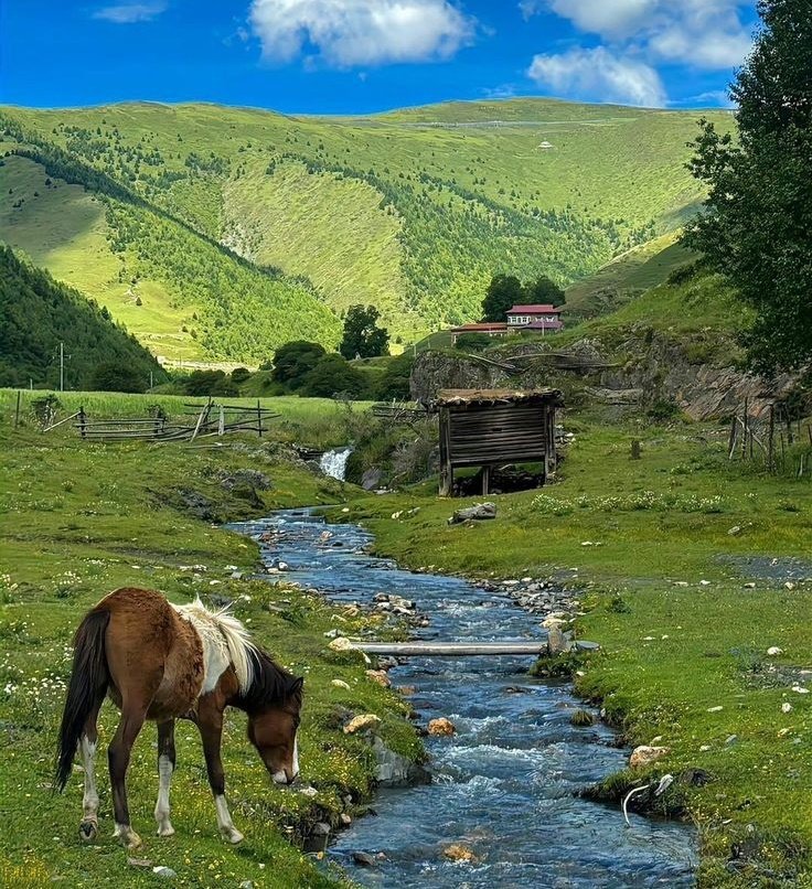 cities_pleaces's tweet photo. Switzerland countryside https://t.co/4YfQawAqo1