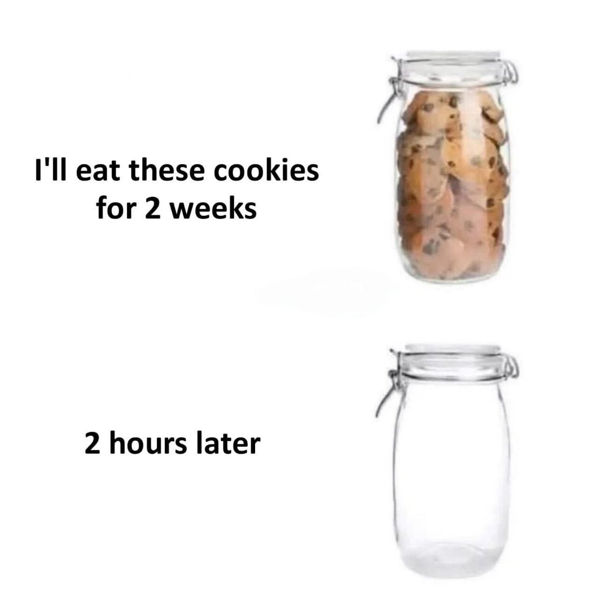 WholesomeMeme's tweet photo. https://t.co/8VvWavGZpM