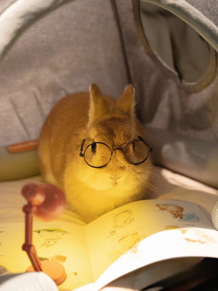 ShouldHaveRabit's tweet photo. https://t.co/JkJuIcorO9