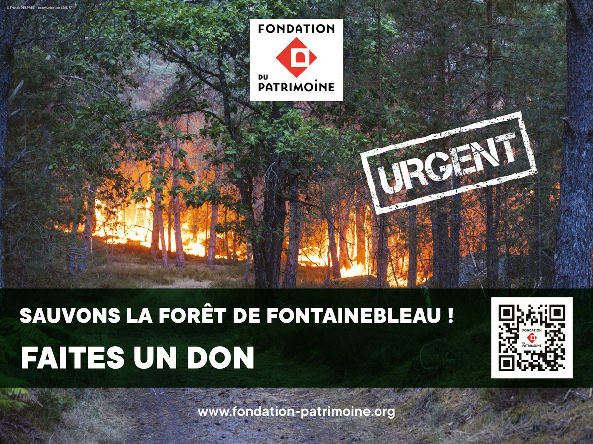 ccism77's tweet photo. 🌳🔥 Sauvons la forêt de Fontainebleau !
Après l’incendie, une collecte est ouverte pour soutenir la sauvegarde et la renaturation des zones touchées.
Chaque don compte pour préserver ce patrimoine exceptionnel.
Faites un don 👉 https://t.co/DwBNF6WLYr https://t.co/ezPQia23Nv