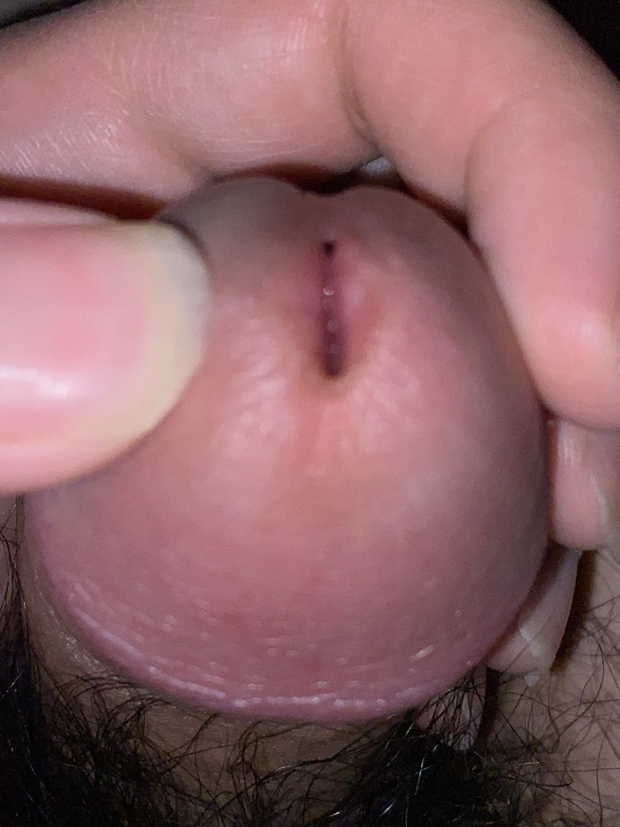 Snlvj3 tweet picture