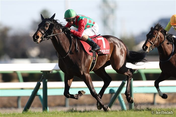 keibalab's tweet photo. JRAはコスモキュランダ、シンエンペラーの2頭が10月24日、オーストラリア・フレミントン競馬場で行われるコックスプレートに予備登録したことを発表しました。
#コックスプレート #コスモキュランダ #シンエンペラー
https://t.co/jFwWqulXvf https://t.co/CUymIEmsYe