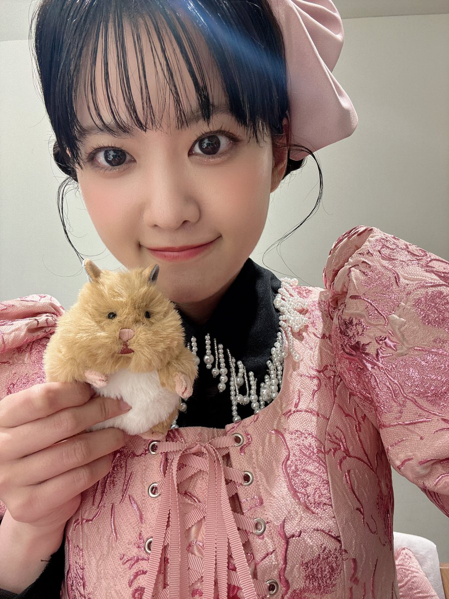 Post by 大西亜玖璃 on X: 昨日の相棒🐹