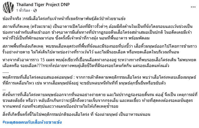 sunnflowergirl's tweet photo. ข้อเท็จจริงเรื่อง #เสือโคร่ง 
- ที่เกิดเหตุเป็นอาคารเปิดโล่งรั้วต่ำ มีช่องทางเข้าออก
- จนท นอนเป็นปกติ ครั้งนี้ก็นอนที่พื้น
- พบขนเสือร่วงที่พื้น และมีร่องรอยว่าเสือลากออกไปโดยข้ามราวรั้ว ไม่มีรอยเลือดหยด
- ห่างออกไป 15 เมตร พบมุ้งเขียวเปื้อนเลือด 
- ปลายทางที่พบผู้เสียชีวิต มีร่องรอยโดนกัดกิน แต่รอยเลือดแห้งแล้ว
- พฤติกรรมนี้ไม่ใช่พฤติกรรมปกติของเสือโคร่งที่จ้องจะล่ามนุษย์เป็นอาหารแน่นอน 
#ห้วยขาแข้ง