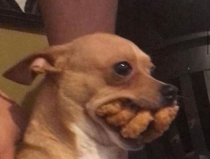 Okay_Bye___'s tweet photo. "let's take pictures of the food firs-"

Me; https://t.co/w0CYFO8hSU