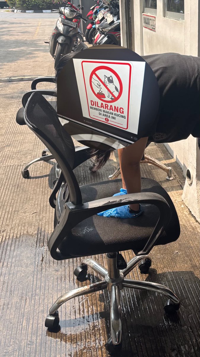 Randommikir's tweet photo. kursi kantor ku kena kutu kucink yang suka dikasih makan rekan kerja😭😭nangesss

ini drama ku hari ini.. mana drama klean geys?!

cc natoci id https://t.co/k6uvgXxZOy