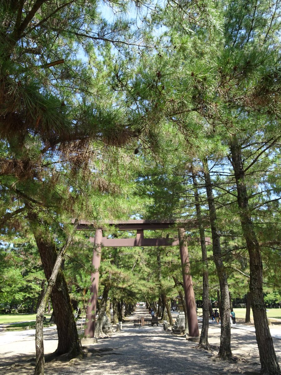 Panda_JO1118's tweet photo. 先日、ずっと行きたいと思っていた、
出雲大社に行ってきた。
とてもよかった。心洗われた気分。 https://t.co/I3b72XnYwX