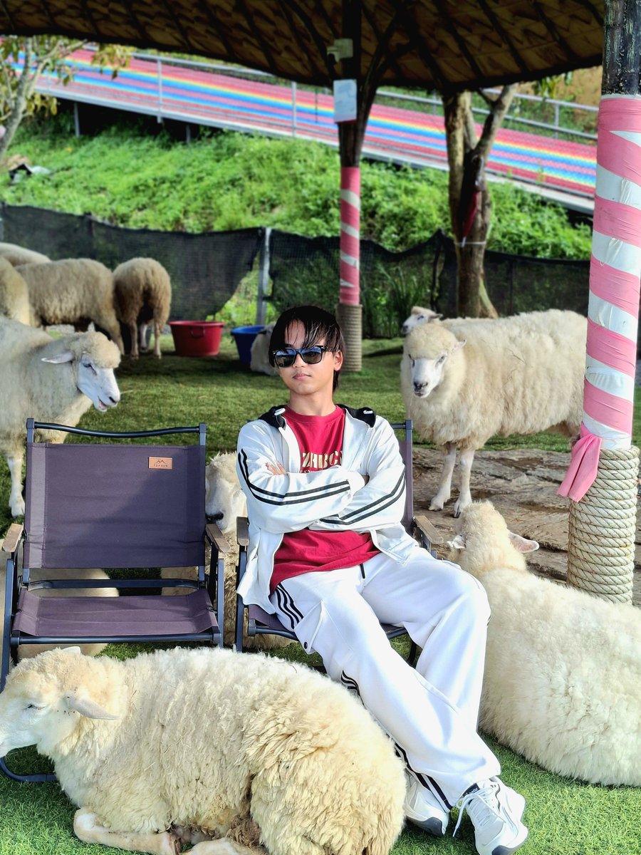 doraemon_sny's tweet photo. ฟา��์มแกะ 🐑 https://t.co/j3UxvXhw63