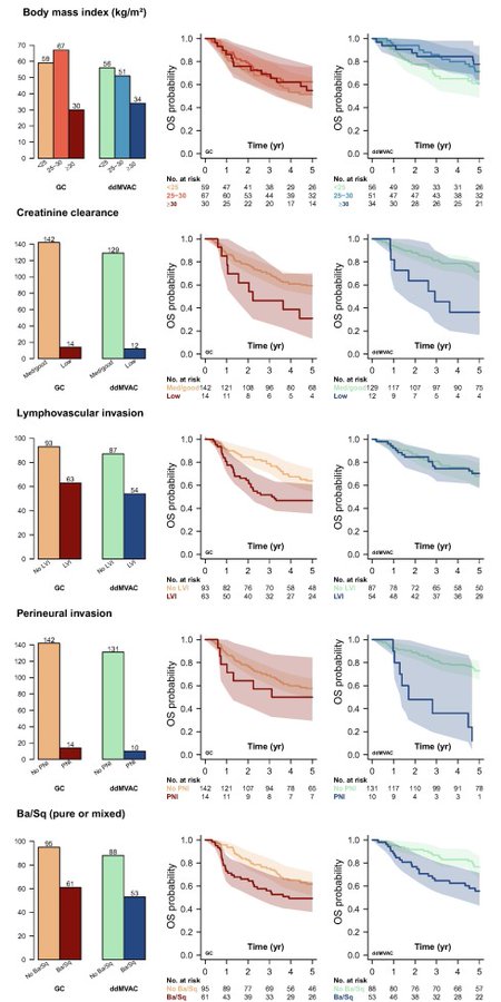 drenriquegrande's tweet photo. ⚡️ VESPER trial: basal molecular subtype is an independent prognostic factor for OS in MIBC treated with neoadjuvant chemotherapy, regardless of the regimen used.

Molecular subtyping beyond clinical staging — increasingly relevant in treatment decision-making.

https://t.co/QNdWhFEXTT

#BladderCancer @EurUrolOncol