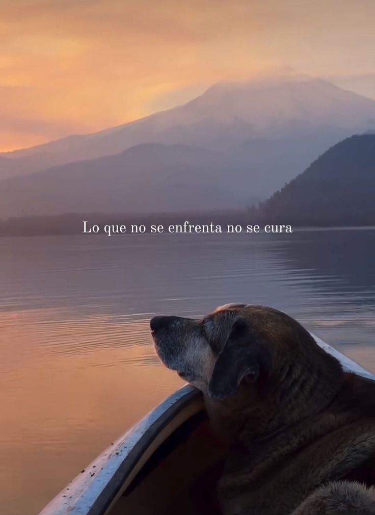 EscueladeVida21's tweet photo. https://t.co/sASM9R5Lzp