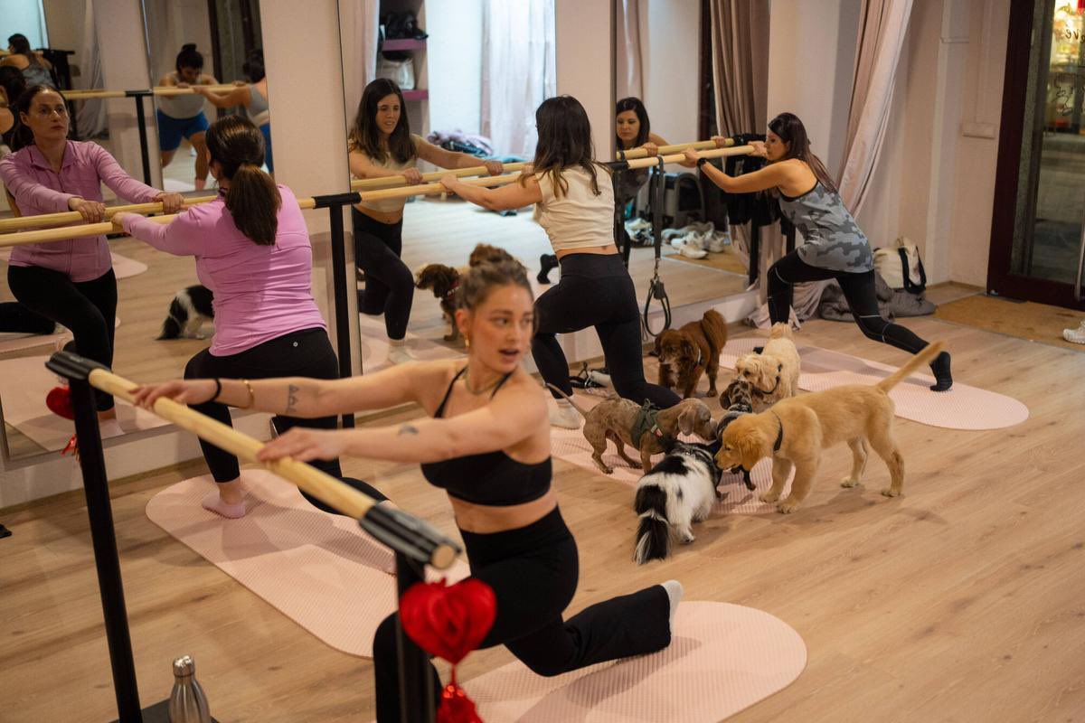 HET_Radio3's tweet photo. CTRL Z hoy se adentra en el mundo fitness.  Todo lo que hacen los jóvenes y no tan jóvenes por tener un cuerpo tonificado: pilates, yoga, barre… solos, o incluso hasta con mascotas, como los perros… No os lo perdáis, en directo en @radio3_rne https://t.co/NPgY5iWccP