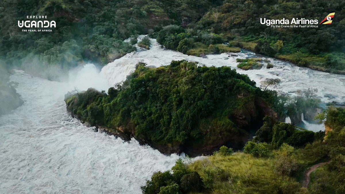 ExploreUganda's tweet photo. 𝐓𝐡𝐞 𝐏𝐞𝐚𝐫𝐥 𝐨𝐟 𝐀𝐟𝐫𝐢𝐜𝐚 𝐢𝐬 𝐠𝐞𝐭𝐭𝐢𝐧𝐠 𝐜𝐥𝐨𝐬𝐞𝐫.

With @UG_Airlines adding new routes to Accra-Ghana, from 27 October and Kigali-Rwanda, from 18 November, 2026 more travellers across the continent will have easier access to Uganda’s wildlife, culture, landscapes and unforgettable adventures.

Your Ugandan journey is now one flight closer.

#ExploreUganda | #FlyTheCrane