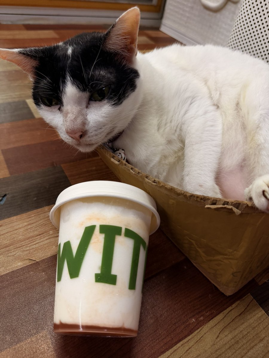 nicha_bua's tweet photo. มายลูกพีชชึดิวะ อ้วมลุกมาลองเร็ว

#WITHUGURT
#MyLookPeach https://t.co/XZ4JIgff47