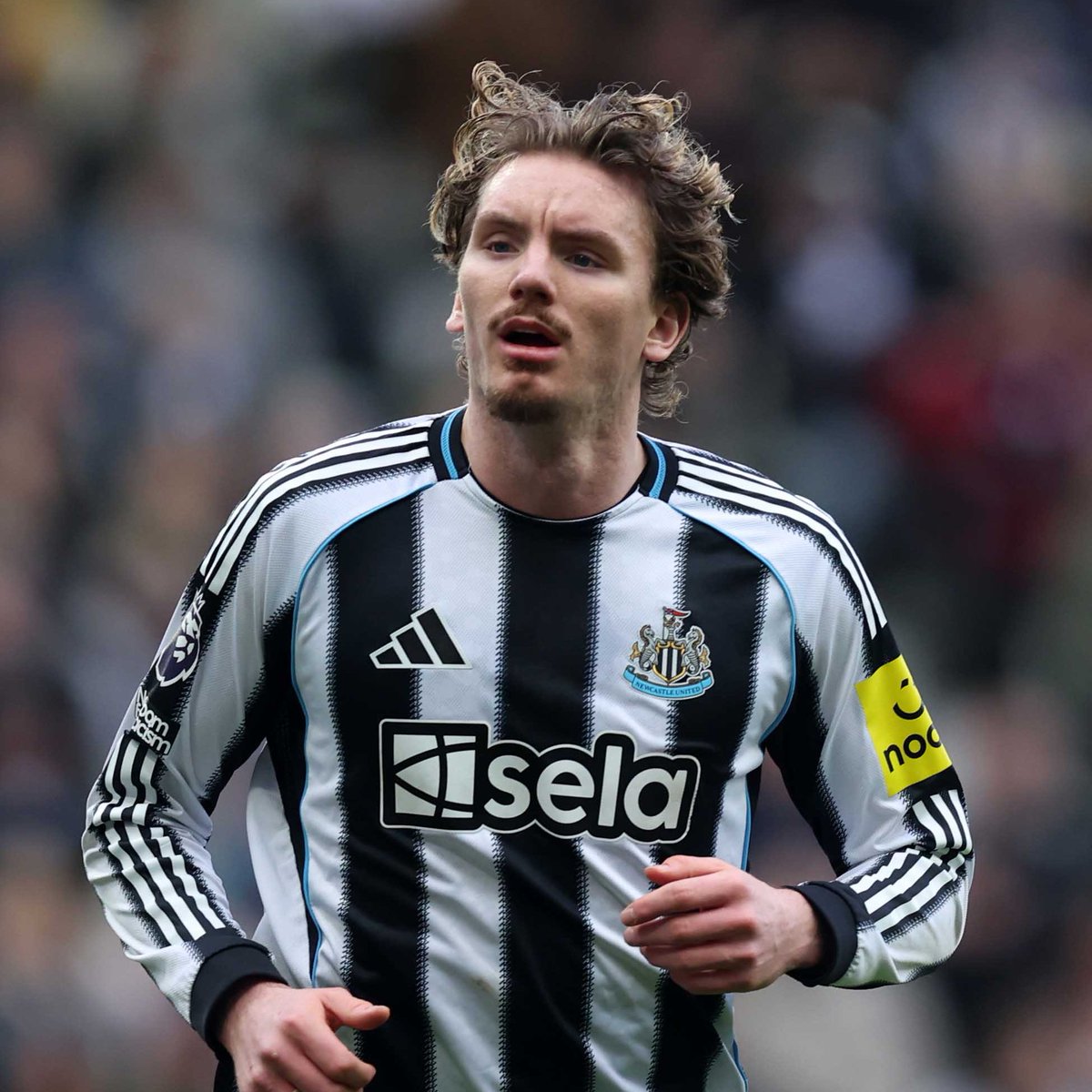 TheMatchdayHQ's tweet photo. 🚨🇩🇪 | 𝐁𝐑𝐄𝐀𝐊𝐈𝐍𝐆: Liverpool are CONSIDERING a move for Newcastle striker Nick Woltemade.

The German striker is expected to leave Newcastle this summer.

[@caughtoffside, @Ekremkonur] https://t.co/aQQ618uAk2