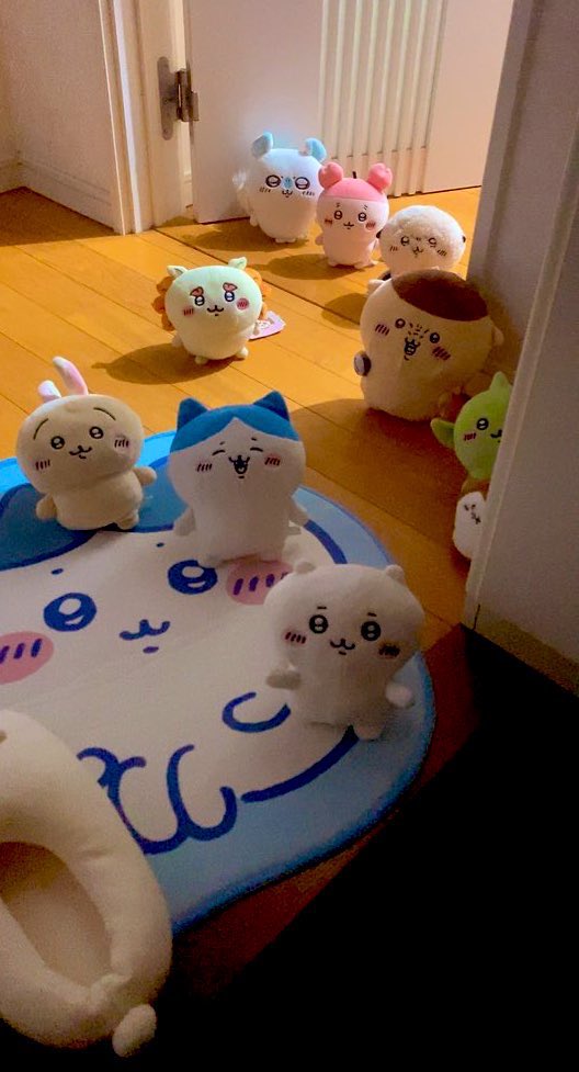 kantikin's tweet photo. おかえりーーーー！！！！ https://t.co/F43GPdIdL7