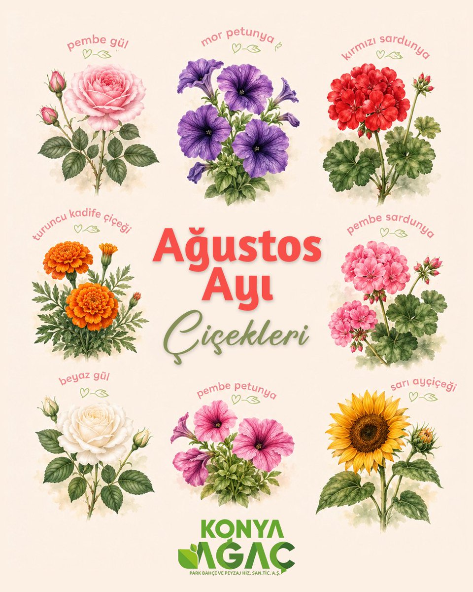 konyagac's tweet photo. Yazın sıcak günlerinde rengarenk çiçeklerle doğanın enerjisini hissedin. 🌿🌸🌻🌷
Ağustos ayının favori çiçekleriyle yaşam alanlarınızı güzelleştirin.

#KonyaAğaç #Doğa #ÇiçekBakımı #BahçeGüzelliği https://t.co/eIXBjs61Vb