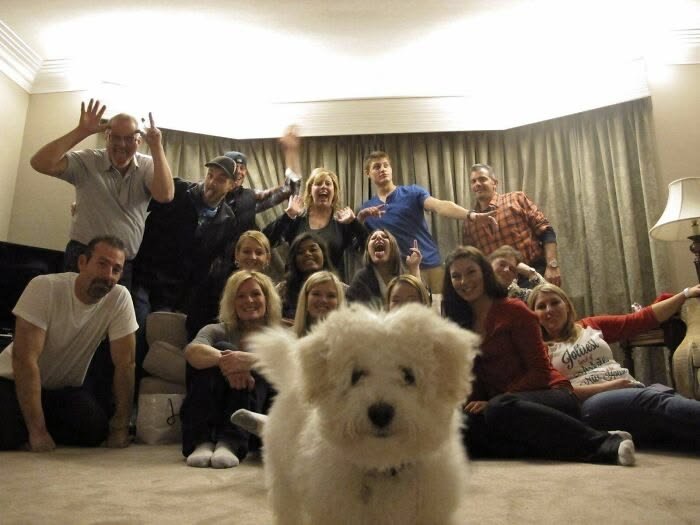 lisamjeong's tweet photo. winter never beating everyone's puppy allegations 😭🥺 https://t.co/SNlrnImSCO