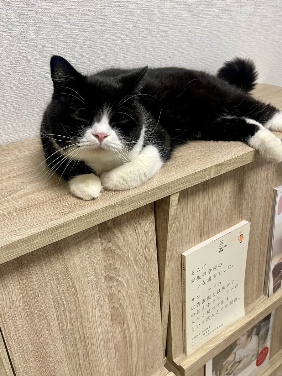 たろう (@taro20216) / Posts / X