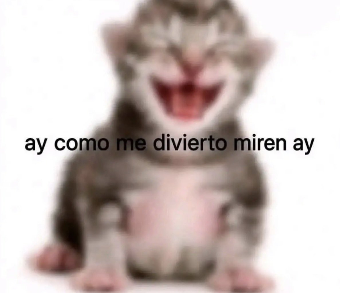 Perrosarnosovt's tweet photo. https://t.co/cjLvAr7NGj