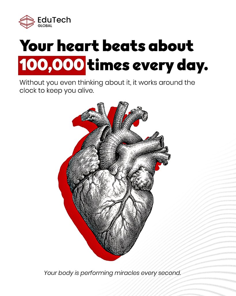 EdutechGlobal's tweet photo. Your body is working for you every moment of every day, often without you even noticing.

From every heartbeat to every breath, it's a remarkable reminder of how complex and resilient the human body truly is.

#DidYouKnow #STEMEducation #LifelongLearning #EduTechGlobal https://t.co/LcHXeTbbq6