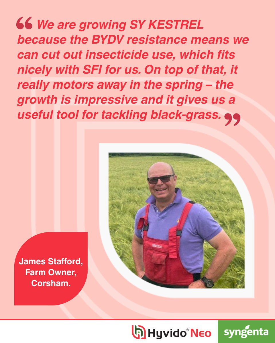 SyngentaUK's tweet photo. Real results. Real growers.

For James Stafford, it's the combination of BYDV resistance and impressive spring growth that makes SY KESTREL work for his farm.

Explore the reasons to choose HYVIDO®: https://t.co/i0vnUF73JC

#HYVIDONeo #HybridBarley #SYKestrel #BYDVResistance https://t.co/xcPAud7zI7