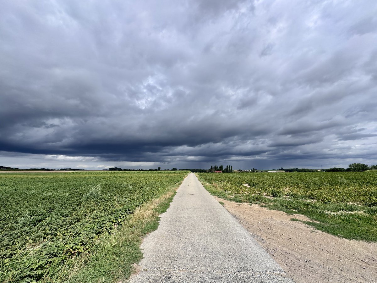 duvaldb's tweet photo. Wortegem - Petegem 11u00 #VrtWeer @BuienradarBE https://t.co/qNuhLaVXQ6