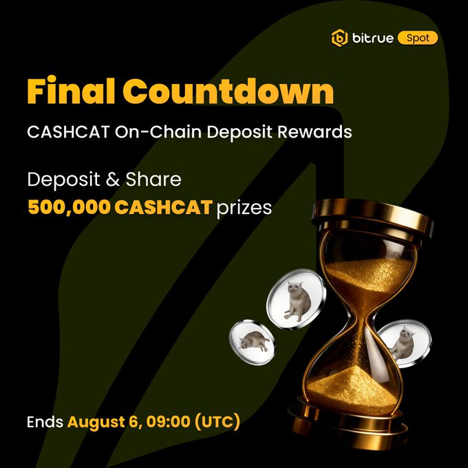 Bitrue's CASHCAT Deposit Campaign Nears Close With 500,000 Tokens in Rewards