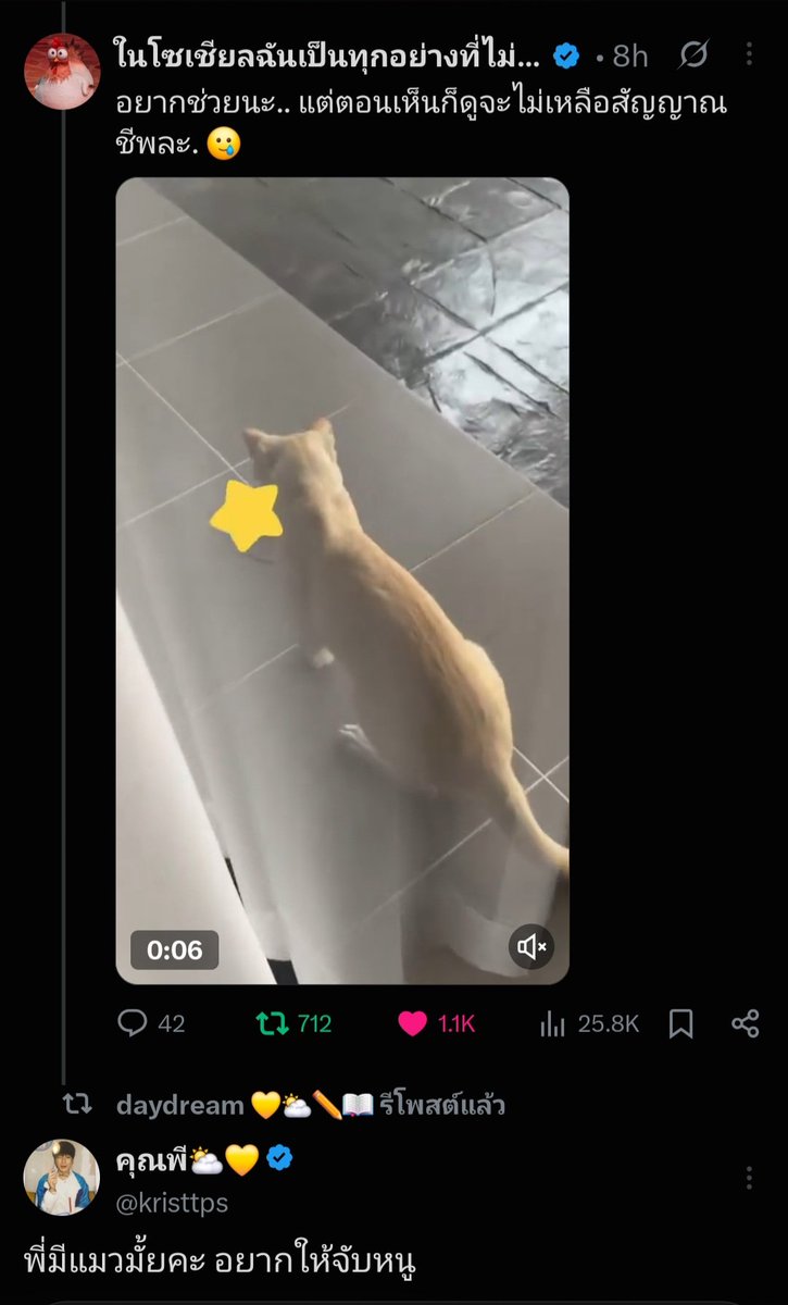 TeBellresof's tweet photo. ว้อดดดดส์ 👀 https://t.co/pSNSFg26bu