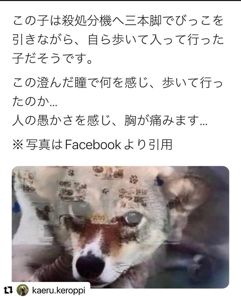mama00007777's tweet photo. 😭😭😭 https://t.co/Nb33g6ARY1