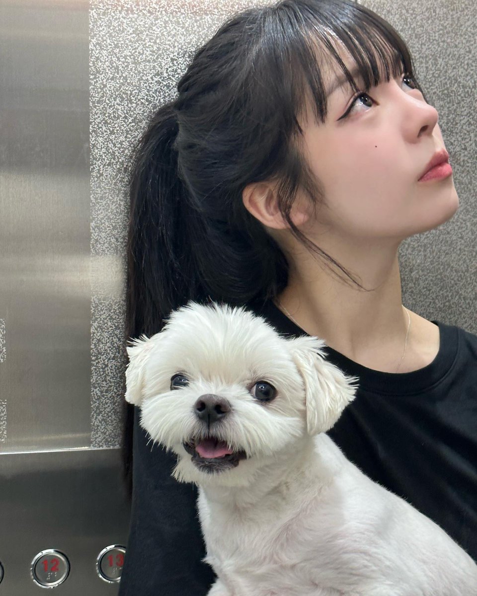 jayeayocyv0's tweet photo. 승질 드런 아기베이빙👼 https://t.co/dvQlwMozlX