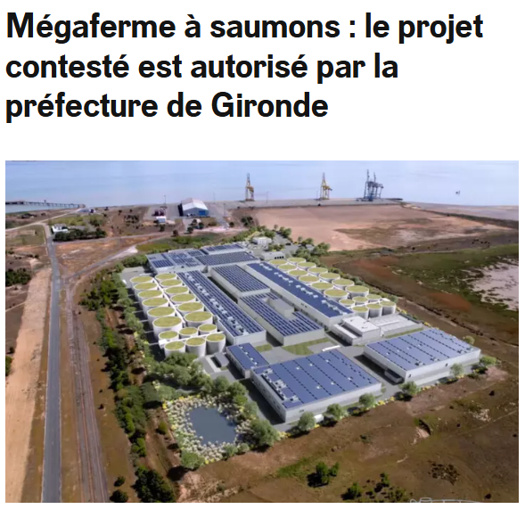 VictorSinclair3's tweet photo. En tout cas, c'est pas Sophie Brocas, l'inénarrable préfète de la Région Nouvelle Aquitaine (et accessoirement écrivain de bouquins de cul) qui va améliorer l'image des préfets qui, entre les spectacles de @MbalaDieudo et les agriculteurs, nous offrent un véritable festival... https://t.co/8muxUR5FRl