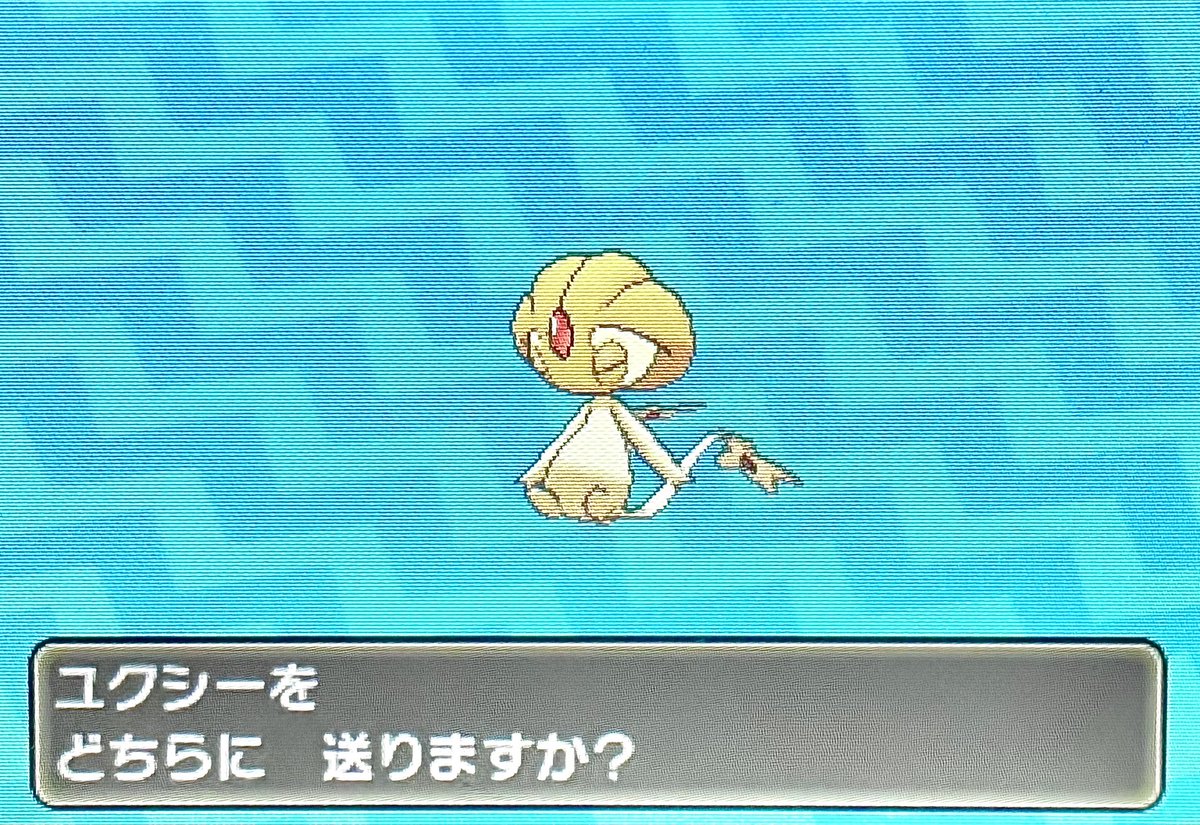 kumatann331's tweet photo. 色違いユクシー出た！　900回ぐらいで
ウルボ33回でゲット！usum最高！ https://t.co/UUAowD5QaH