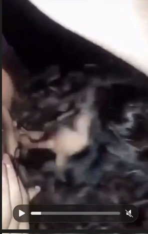 moha34_f's tweet photo. Vidéo de mymy et chikanos team nasdas https://t.co/OKaTuRNHPE https://t.co/WFOzkRjANj