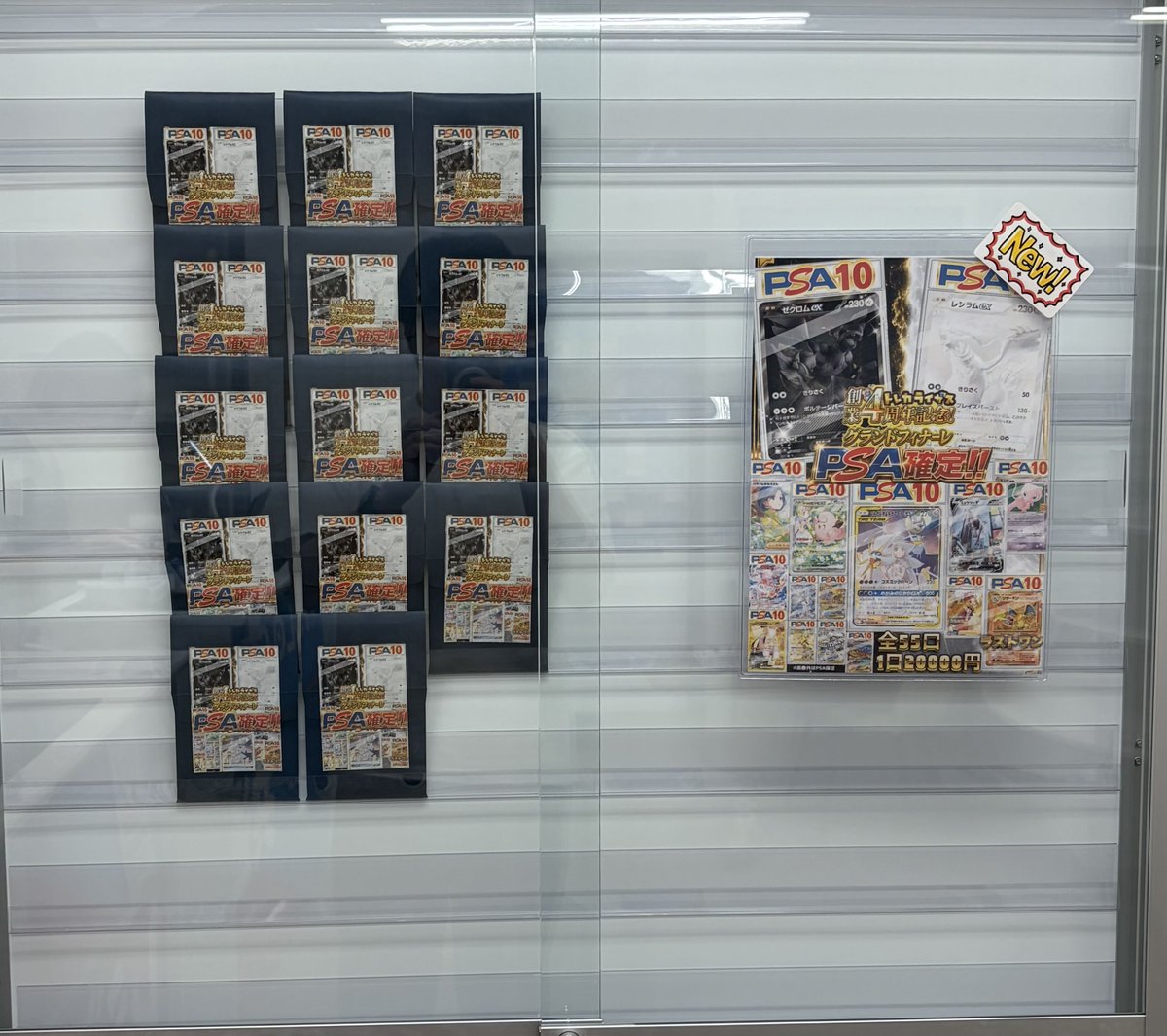 PSA確定オリパ‼ 全55口 1口20000円 残り1⃣4⃣口🔥 『ゼクロムexPSA10