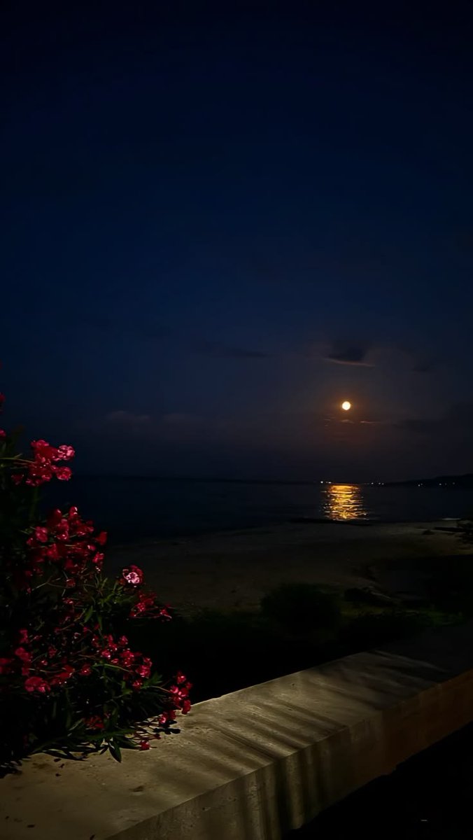 HappypawsCytc4's tweet photo. 🌕 https://t.co/zBtpPhEd3e
