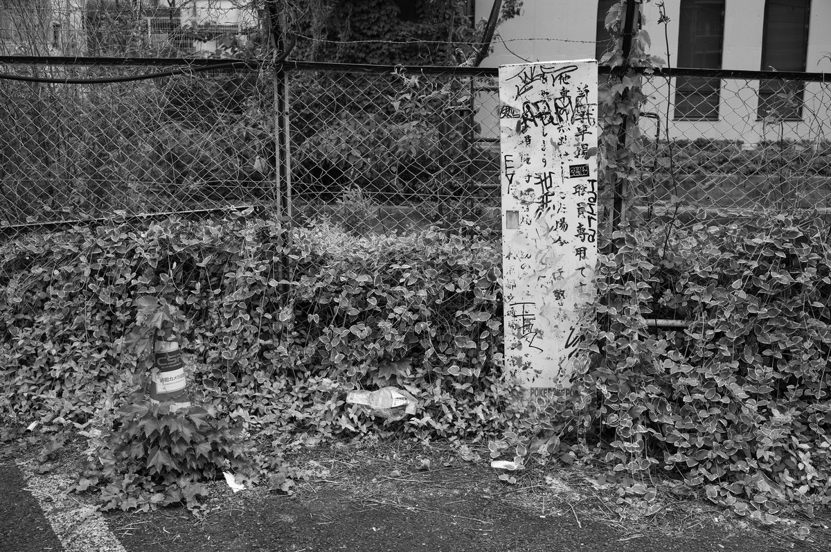 rekomy's tweet photo. 2026年5月、渋谷
LEICA M11-P, SUMMILUX-M f1.4/35mm ASPH. 11726 https://t.co/X7cU0t8R6L