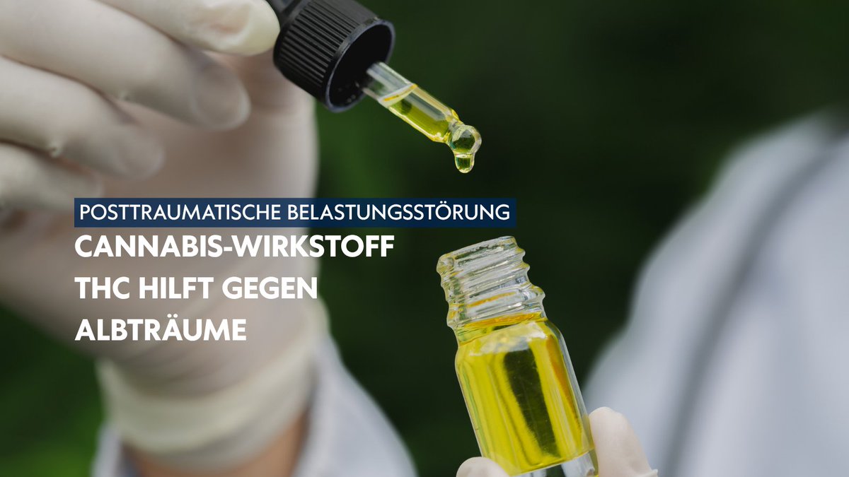 ChariteBerlin's tweet photo. Menschen mit einer Posttraumatischen Belastungsstörung leiden häufig unter Albträumen. THC-Tropfen aus #Cannabis können helfen, zeigt eine neue #CharitéBerlin-Studie: Über die Hälfte der Behandelten sprach an, viele hatten gar keine Albträume mehr. #PTBS https://t.co/bL3mKaeDMg https://t.co/CwzidjBb4r