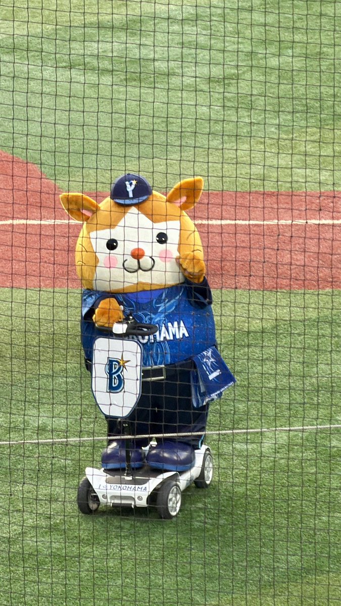 shionamy's tweet photo. ホンシカ
今日はスターナイト‼️
ユニフォームもらえちゃった
勝つぞー！

明日もくるからねー
ユニフォームまたもらえちゃうからねー😊
#横浜ベイスターズ
#ハマスタ
#baystars https://t.co/tXmw4AmYhP