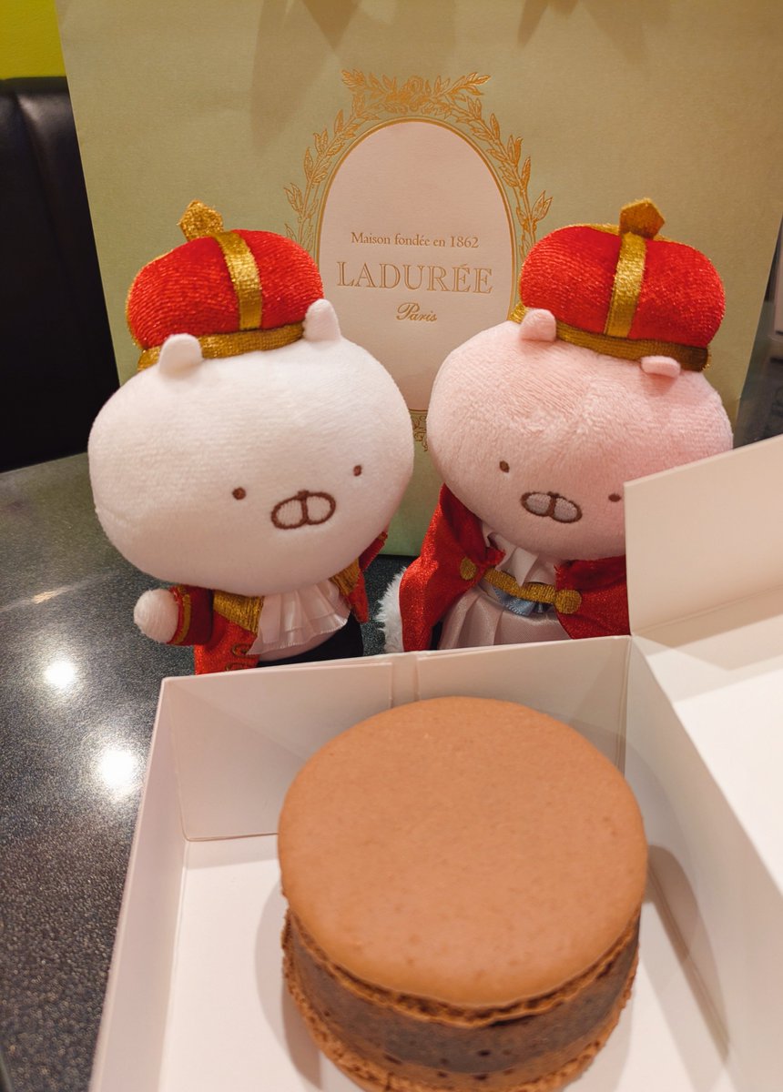 kuma3doll's tweet photo. 寄り道ラスト！

これこれ、これですよ大本命おやつ！！
横浜ラデュレ限定のフォンダン・マカロンショコラ！！！
ずっしり濃厚で食べ応えあって最高でしたわ https://t.co/1NkAG3eBnm