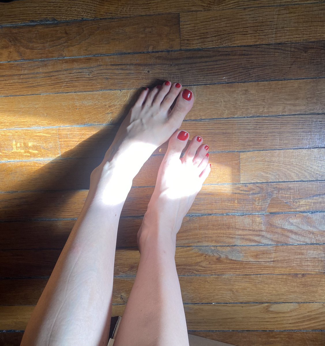 hotfinancialdom's tweet photo. C'est le paradis ou juste mes pieds ? 
Dispo sur Paris 
#FindomFR #DominationFinancière #EsclaveFinancier #FétichismeDuPied #EsclaveDesPieds #SoumisFR https://t.co/qamBU73eWm