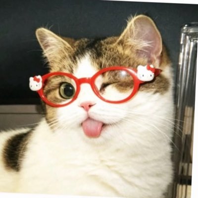iamcrazygg's tweet photo. #NewProfilePic https://t.co/cb062KJ1p6