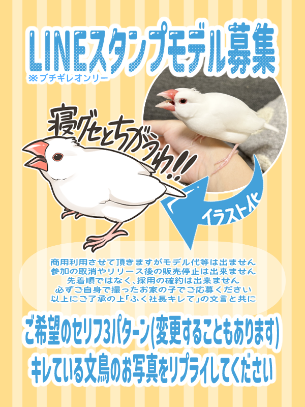 fukufukudo_514's tweet photo. 😡ブチギレ文鳥モデル募集😡

内容をよくお読みの上、リプライにてご参加ください🙌

⚠️一定数集まり次第締切・リリース時期未定

※鍵垢参加不可
※採用不採用等、個別のお問い合わせにはお答え出来かねます
※使いやすさ等も考慮しセリフを決定しますので3パターン全て不採用になることもございます https://t.co/1Ah0Wmb41h