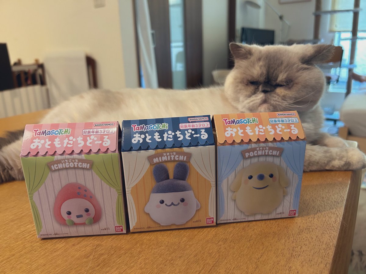 toboeinc's tweet photo. ゲットᕕ( ᐛ )ᕗ https://t.co/6X4rJNpcU8