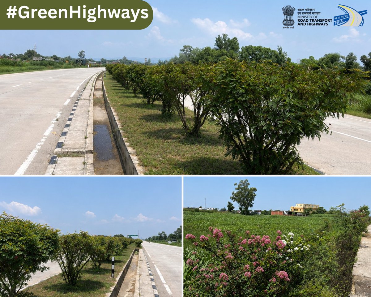 NHAIROJammu's tweet photo. Plantation work is moving ahead steadily along the Jammu Ring Road, adding more green cover and contributing to a cleaner, healthier highway environment.

The initiative is part of NHAI's continued efforts to develop sustainable highway infrastructure while improving the overall landscape and travel experience.

#NHAI #JammuRingRoad #GreenHighways #PlantationDrive #SustainableInfrastructure #EnvironmentalSustainability @MORTHIndia 
@PIBMoRTH