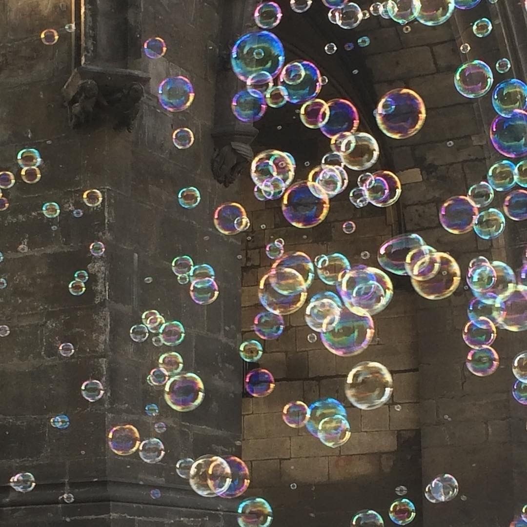 prtygal777's tweet photo. in love with whatever this is https://t.co/3CCr9AratI