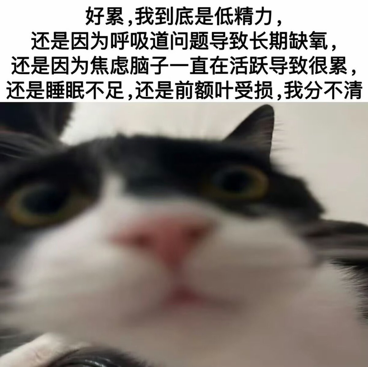 hgds0's tweet photo. https://t.co/1MMz5xMDYR