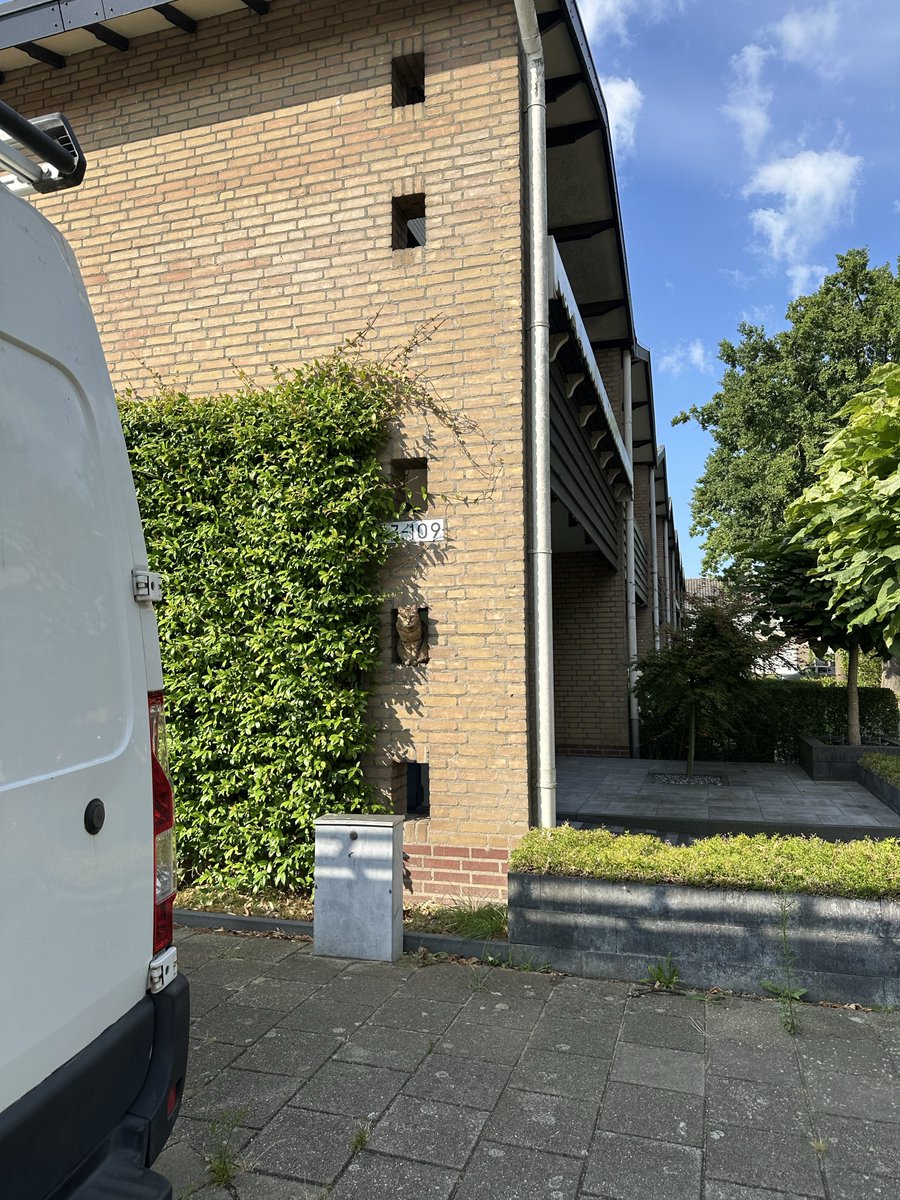 TheyCallMeCute0's tweet photo. My first Giratina raid was shiny 🥹✨

Later I went for a 10k run and right before I got home I spotted this little guy just chilling on a wall 🐈

Can you spot my little neighborhood friend? 👀

#PokémonGO https://t.co/iV28n6Fa1P